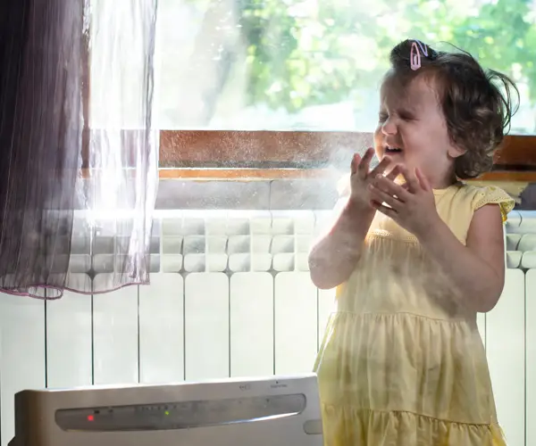 Sunlight showing the hidden allergens inside the home