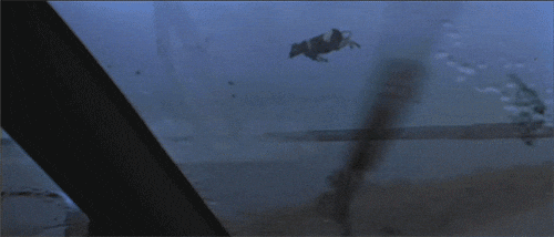 tornado cow flying gif